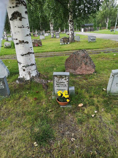 Hautatunnus: NK 17    13A