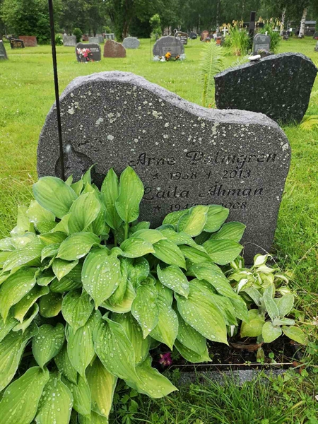 Hautatunnus: NK 11     5