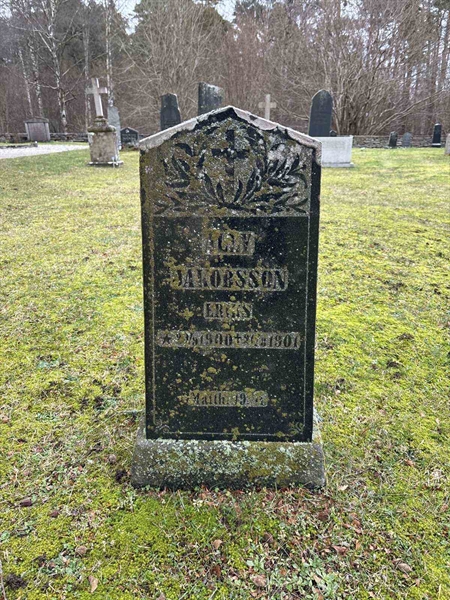 Grave number: L C 11