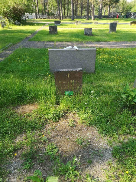 Hautatunnus: NK 02    44