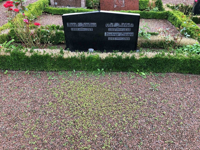 Grave number: Kå 30    38, 39, 40