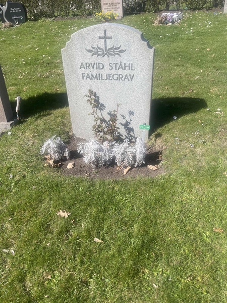 Grave number: 1 3 F1 290