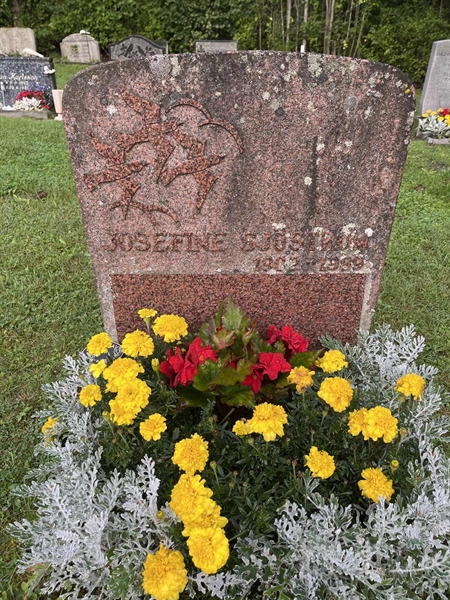 Grave number: 5 02   221-222