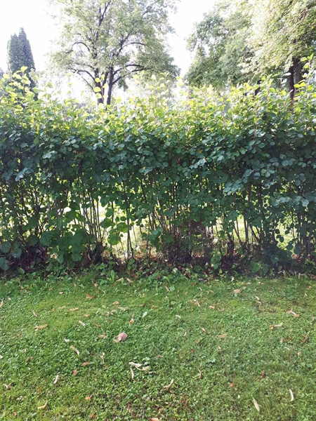 Gravnummer: GK F 4   375