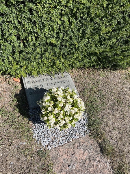 Grave number: NK I:u   300