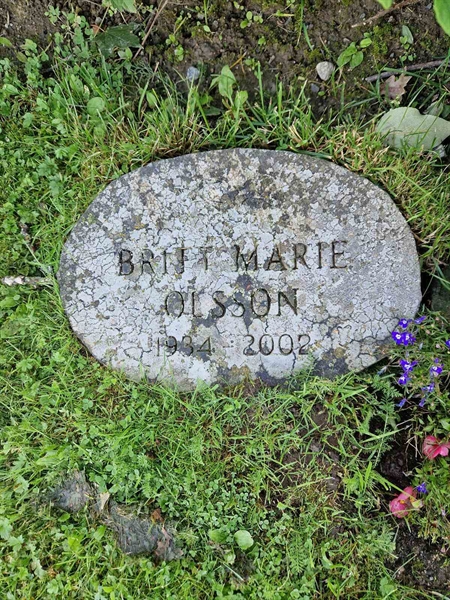 Hautatunnus: 451 05 5A