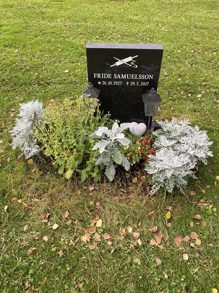 Hautatunnus: 2 C   318