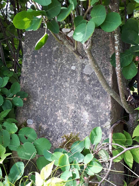 Hautatunnus: GK A 5   190H