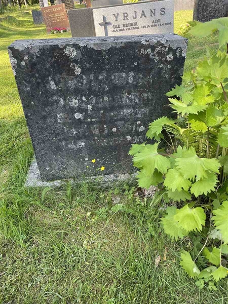 Hautatunnus: N 5 2   175