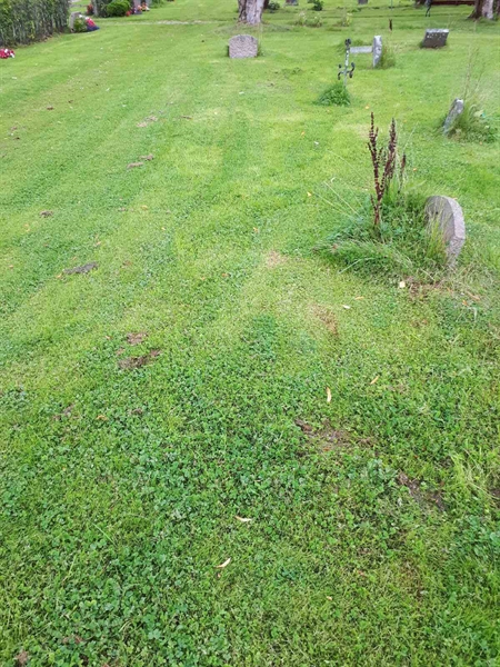 Hautatunnus: NK A A     4