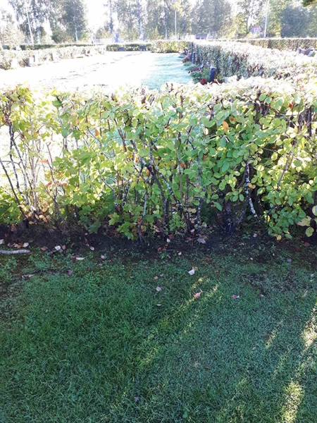 Hautatunnus: NK F B    43