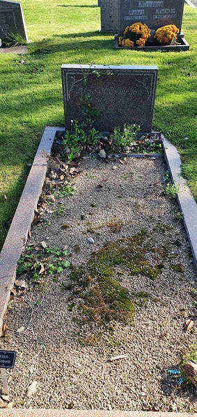 Grave number: GG 006  0494