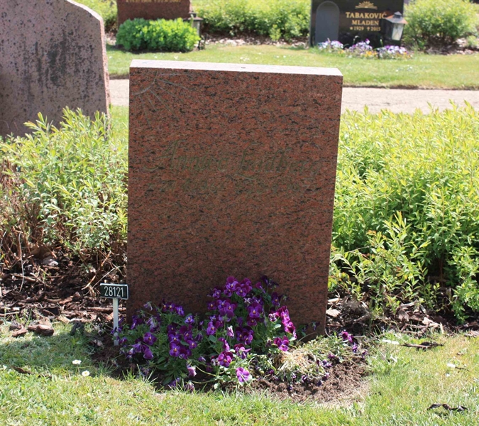 Grave number: Ö 28   196