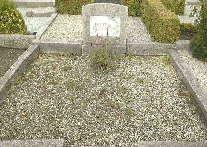 Grave number: NK VIII    81