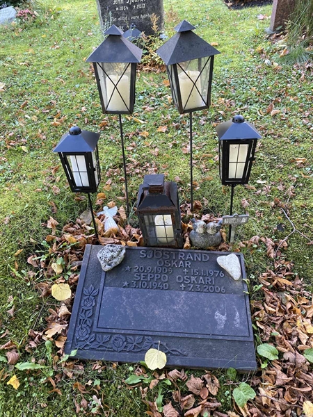 Hautatunnus: 1 H   379