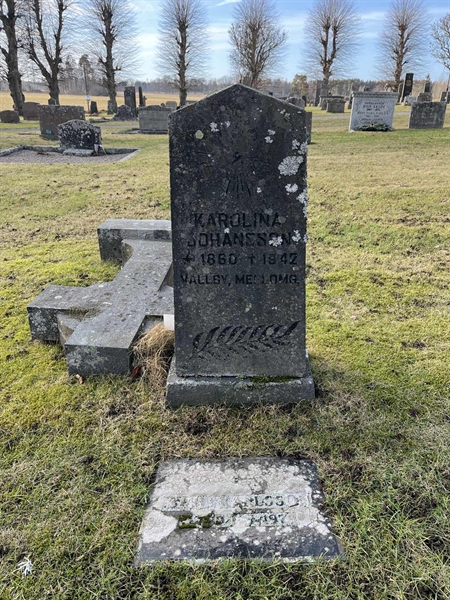 Hautatunnus: HA M    39, 40