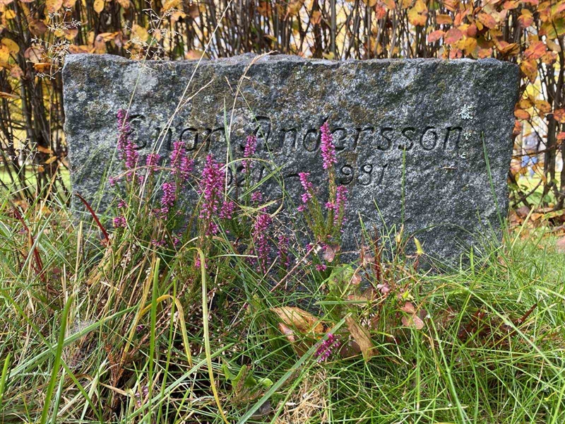 Grave number: 1 24     55