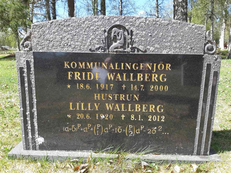 Grave number: FÅ   91