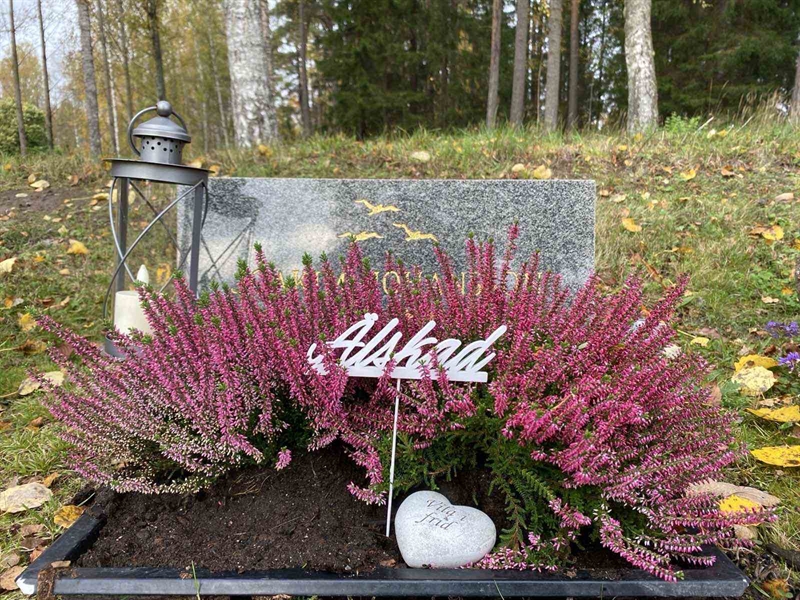 Grave number: 1 23    U42