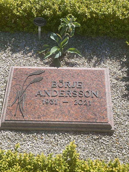 Grave number: VN U    35
