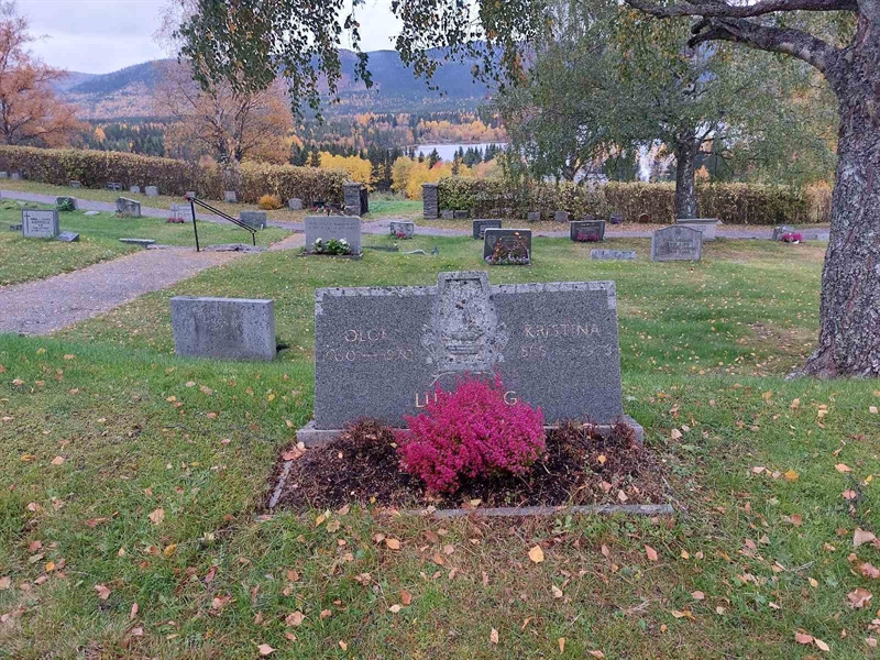 Hautatunnus: NY H 48