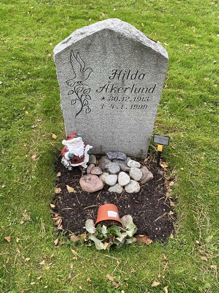 Hautatunnus: 2 C   725