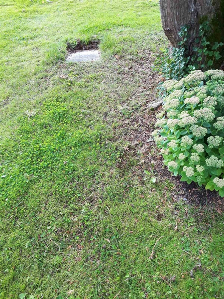 Gravnummer: NK A A   191