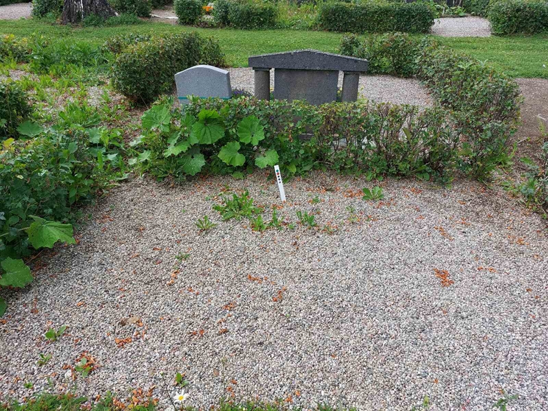 Grave number: FÖ 2    76