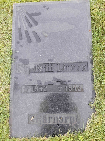 Grave number: EL 4   679