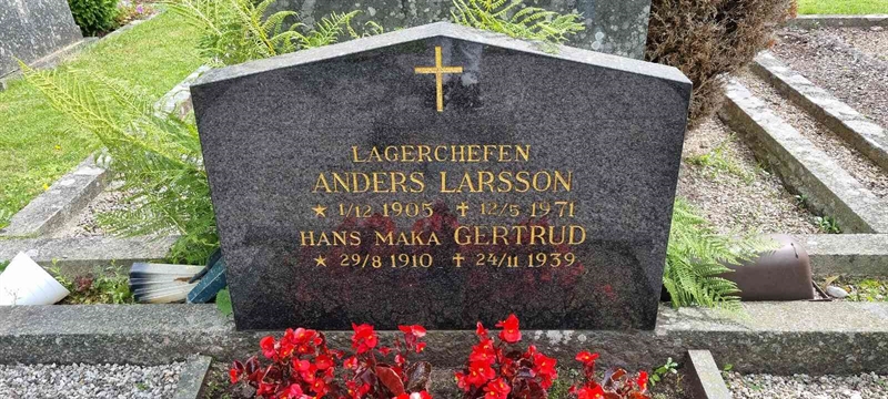 Grave number: LM 3 46  006