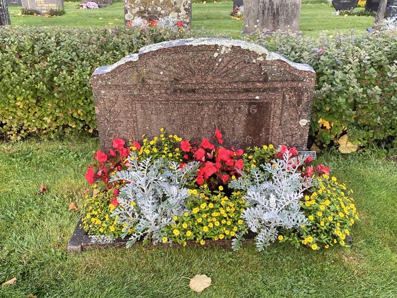 Grave number: 4 Öv 17    64-65