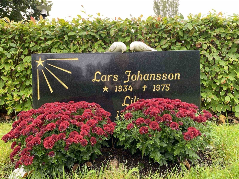 Hautatunnus: 1 18    149, 150