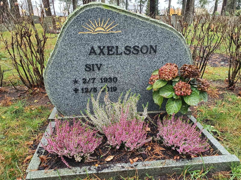 Grave number: SK A5   559