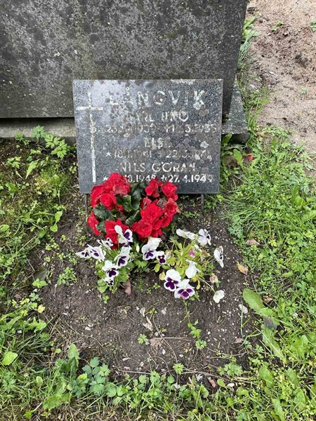 Gravnummer: N 4 3   362