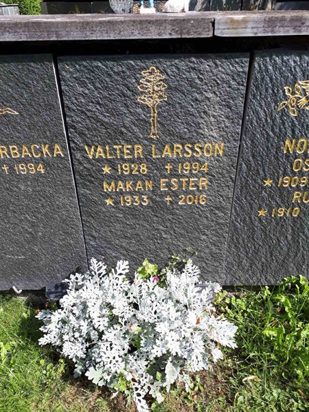 Hautatunnus: GK U 4   272