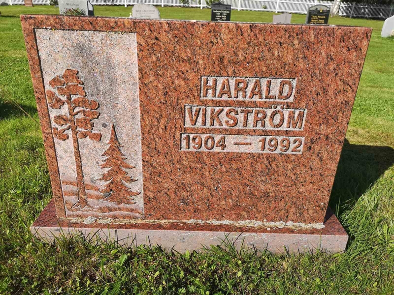 Gravnummer: POK 01     6