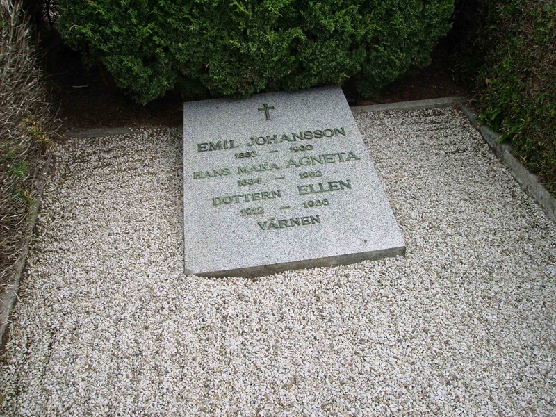 Grave number: LM 2 18  055