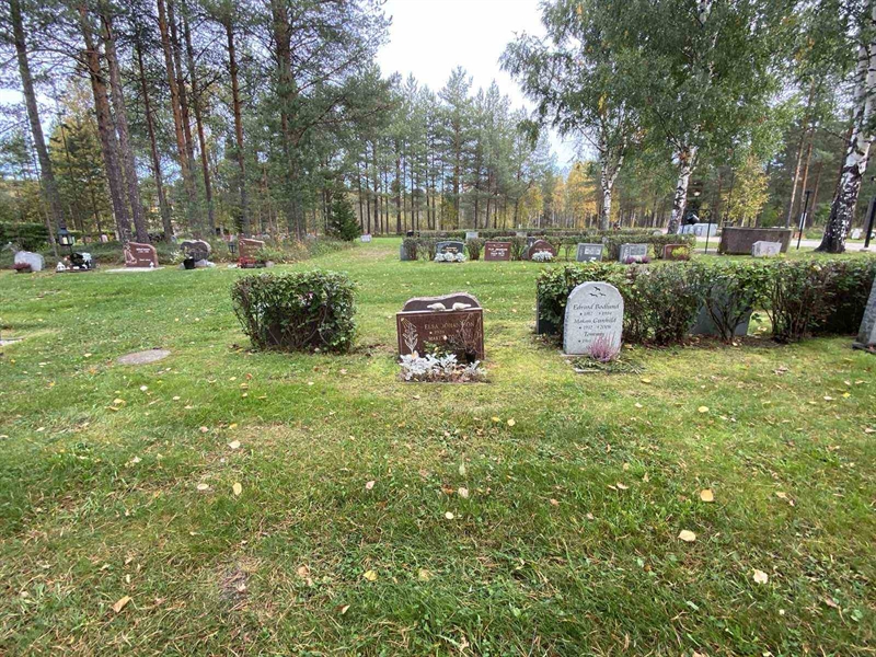 Grave number: 3 16   184