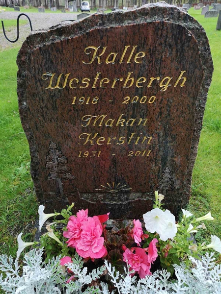 Hautatunnus: Mjk 01     7:1