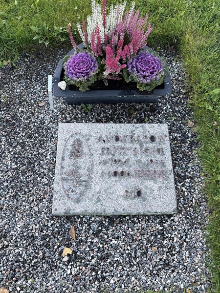 Grave number: 4 N NI    19