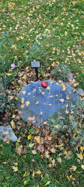 Grave number: M 12   49