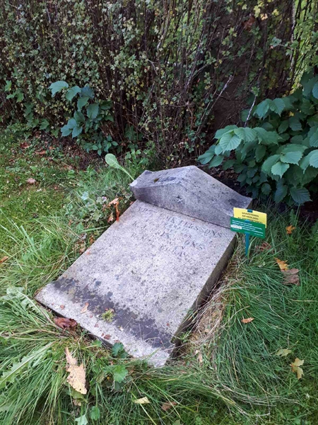 Gravnummer: GK F 1    44