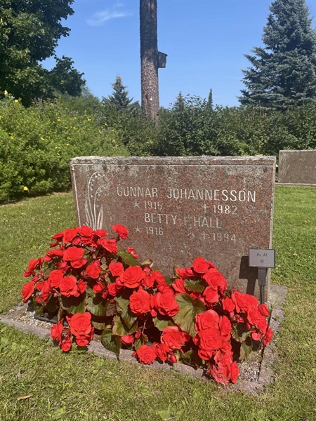Grave number: 1 A1    91