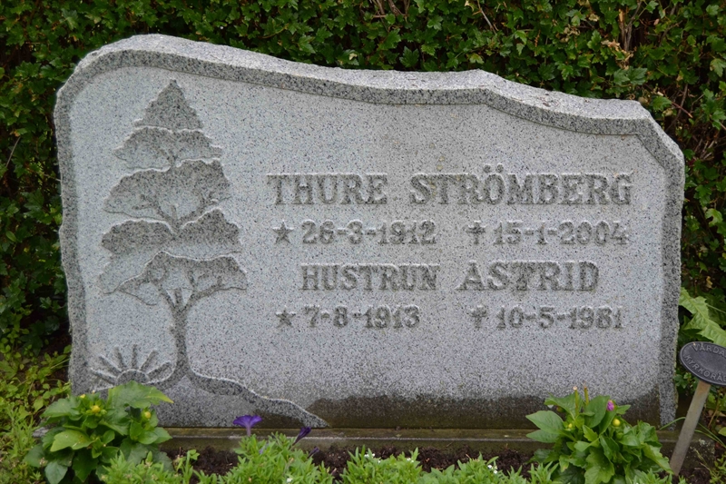 Grave number: 3 D    17