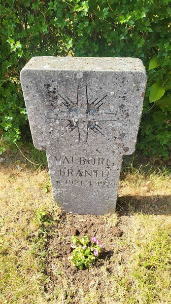 Grave number: 1 9    45