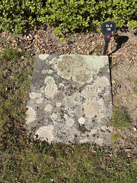Hautatunnus: 22 A   156
