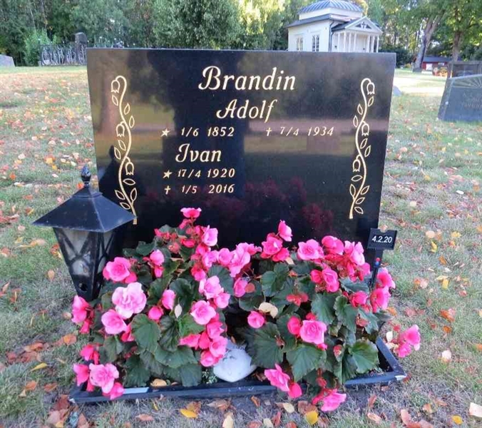 Hautatunnus: 4 2    20