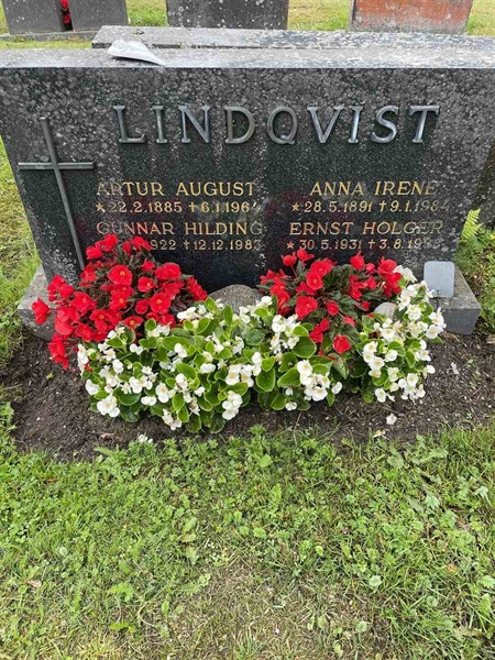 Gravnummer: N 4 4   516