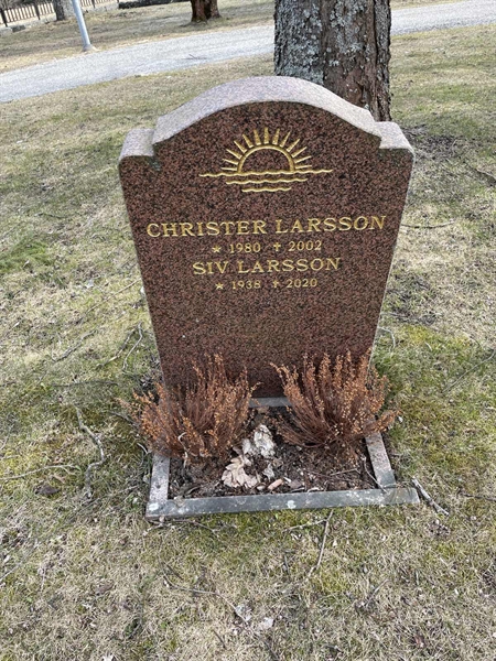 Gravnummer: H 9   228-230