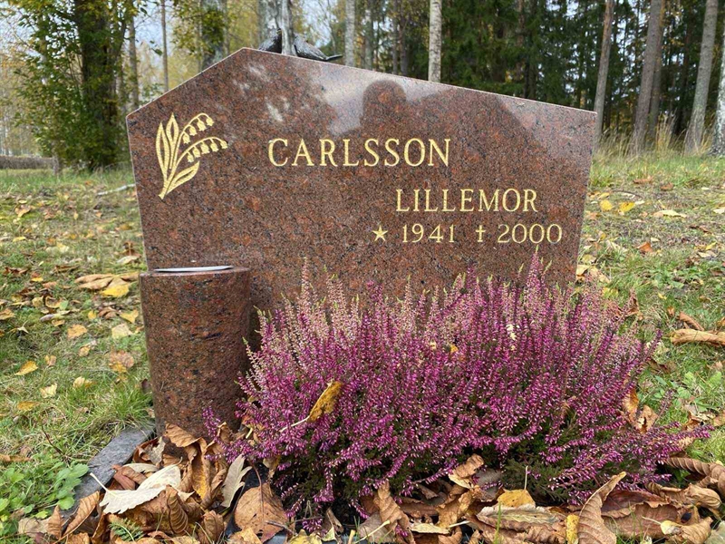 Grave number: 1 23    U36